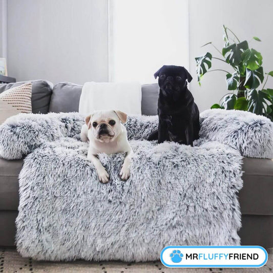 Der beste Sofastoff für Hunde