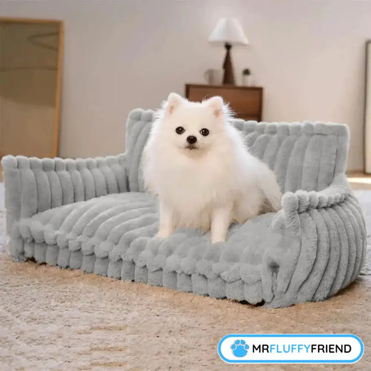 Flauschiger kleiner weißer Hund sitzt drinnen auf einem weichen grauen Hundesofa