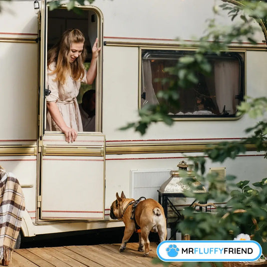 Feature-Bilder für den Blog „Die besten Hunderassen fürs Vanlife: Der ultimative Ratgeber“ mit einer Frau und einem Französischen Bulldogge, die durch eine offene Wohnmobiltür gehen