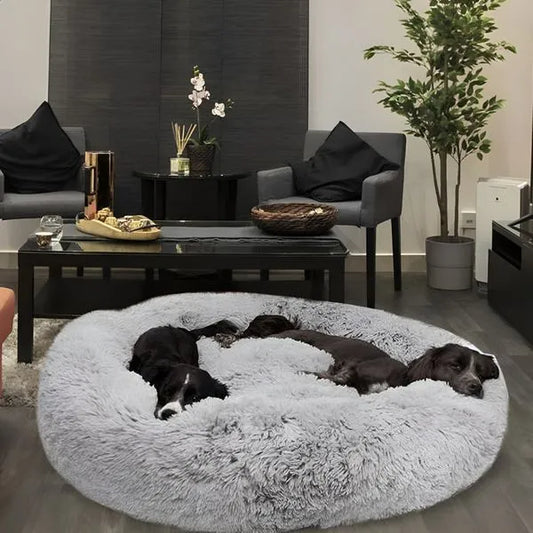 8 Gründe, warum Hundebesitzer weltweit auf dieses Hundebett schwören