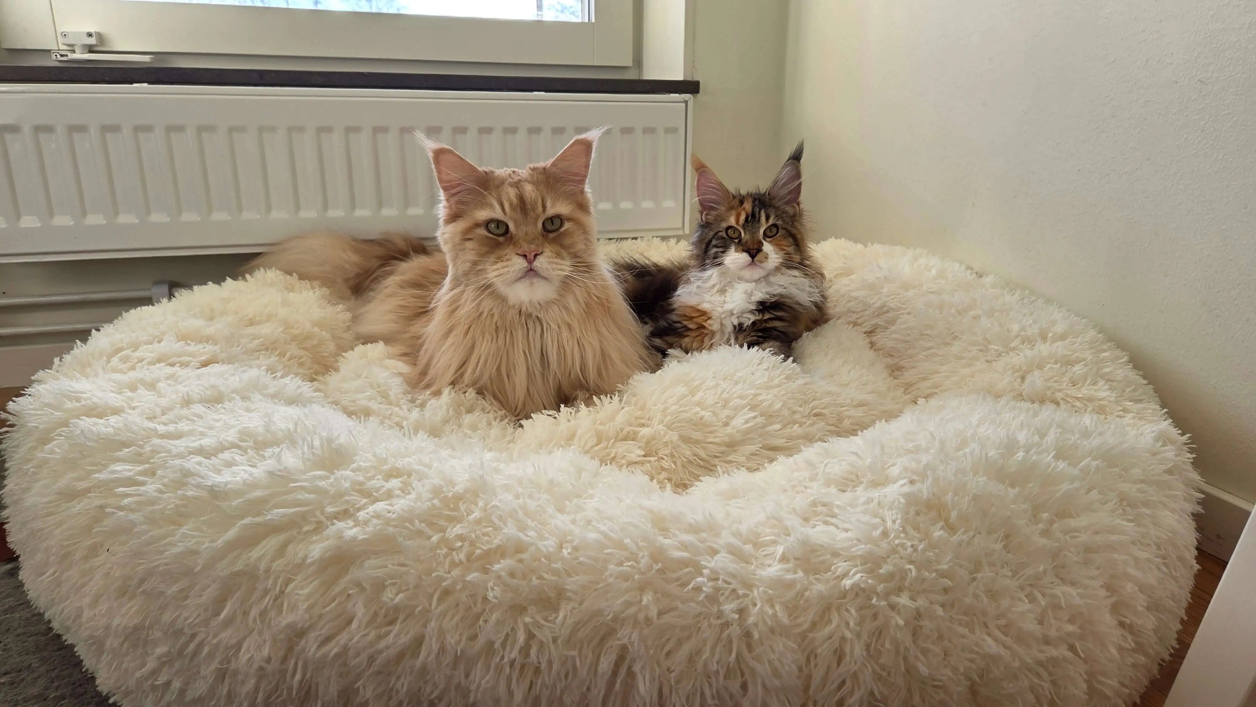 Hero Background Image