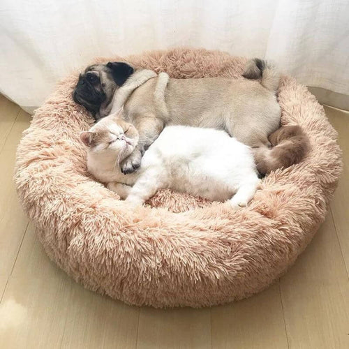 Mops und fluffige Katze kuscheln friedlich im beigen Anti-Stress-Katzenbett