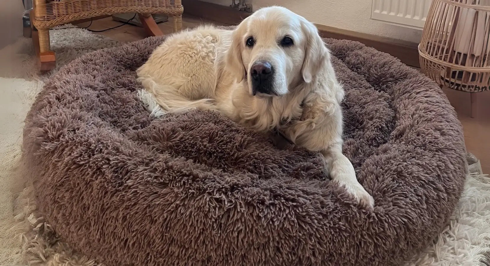 Hero Background Image