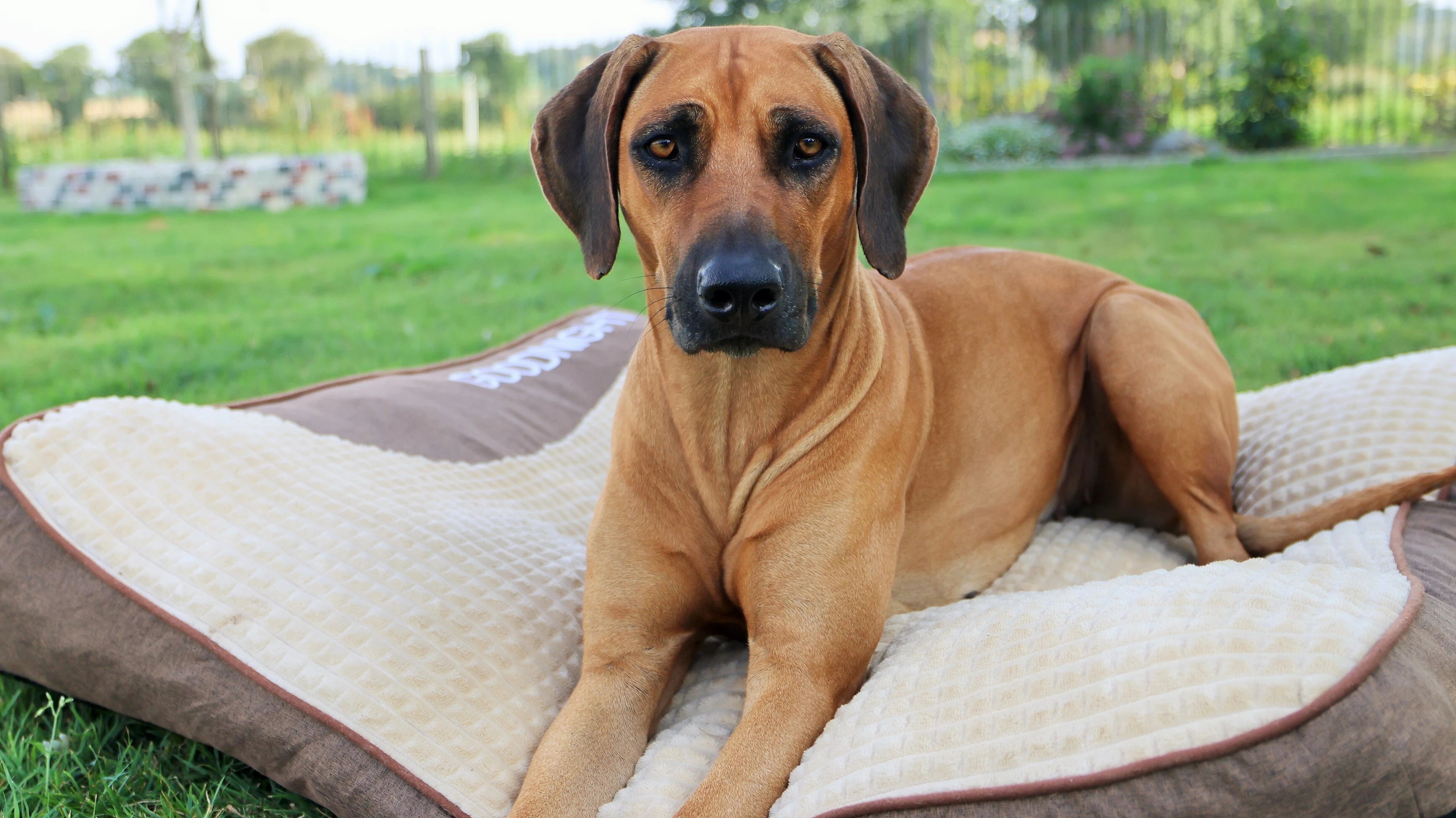 Hero Background Image