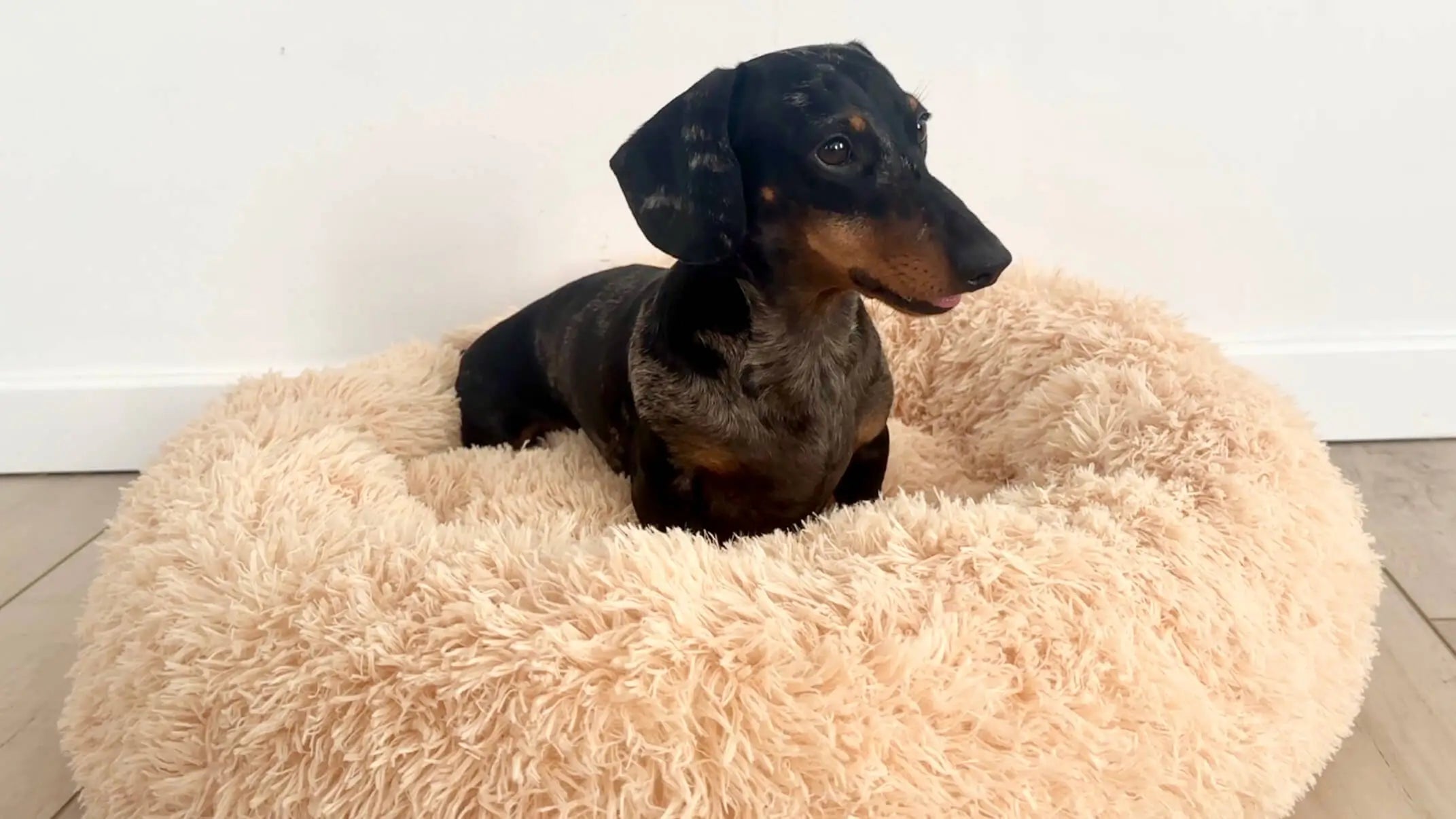 Hero Background Image